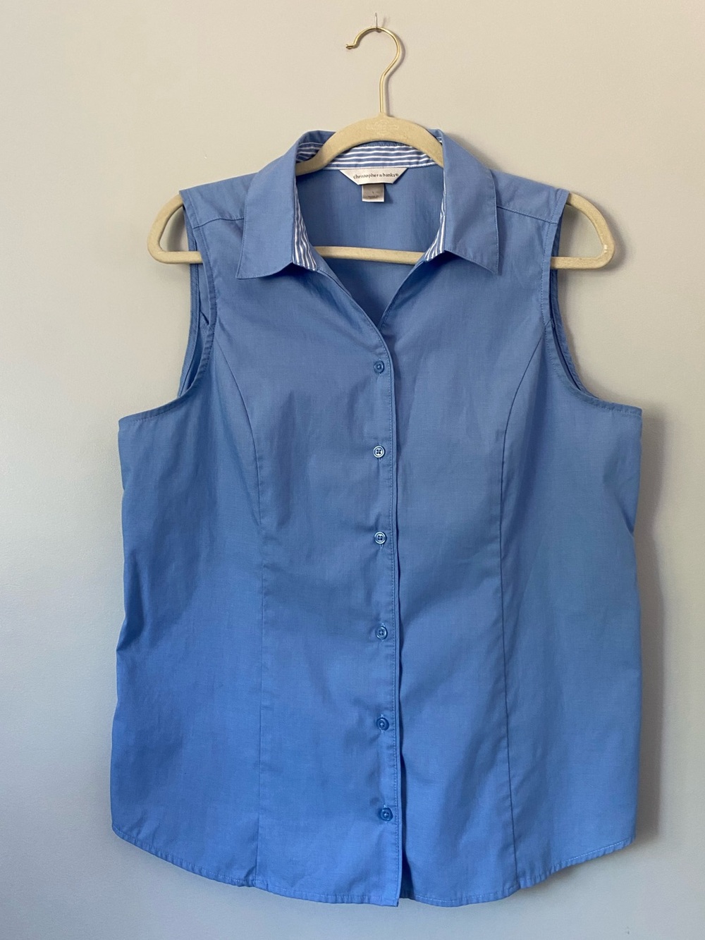 Christopher & Banks Blue Sleeveless Button Front Collared Blouse Size L